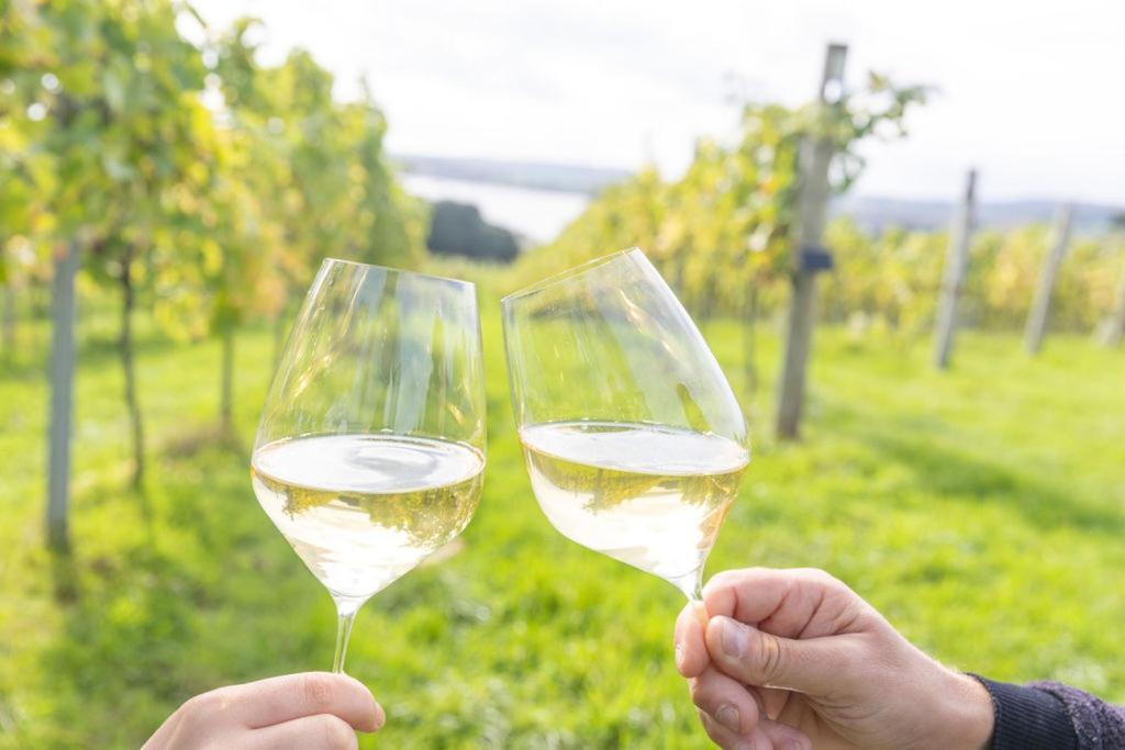 Lympstone Manor Hotel Restaurant & Vineyard - Relais & Chateaux Έξμαουθ Εξωτερικό φωτογραφία
