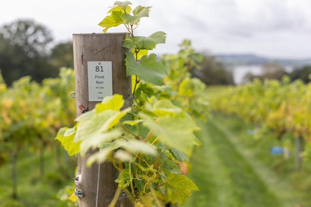Lympstone Manor Hotel Restaurant & Vineyard - Relais & Chateaux Έξμαουθ Εξωτερικό φωτογραφία