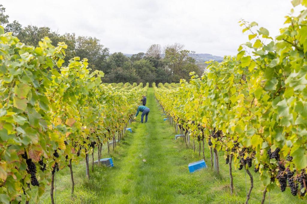 Lympstone Manor Hotel Restaurant & Vineyard - Relais & Chateaux Έξμαουθ Εξωτερικό φωτογραφία