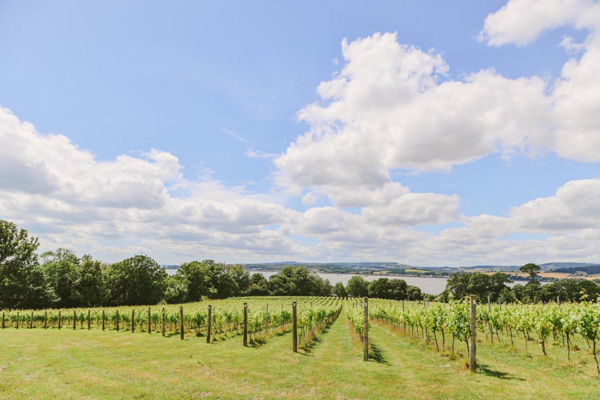 Lympstone Manor Hotel Restaurant & Vineyard - Relais & Chateaux Έξμαουθ Εξωτερικό φωτογραφία