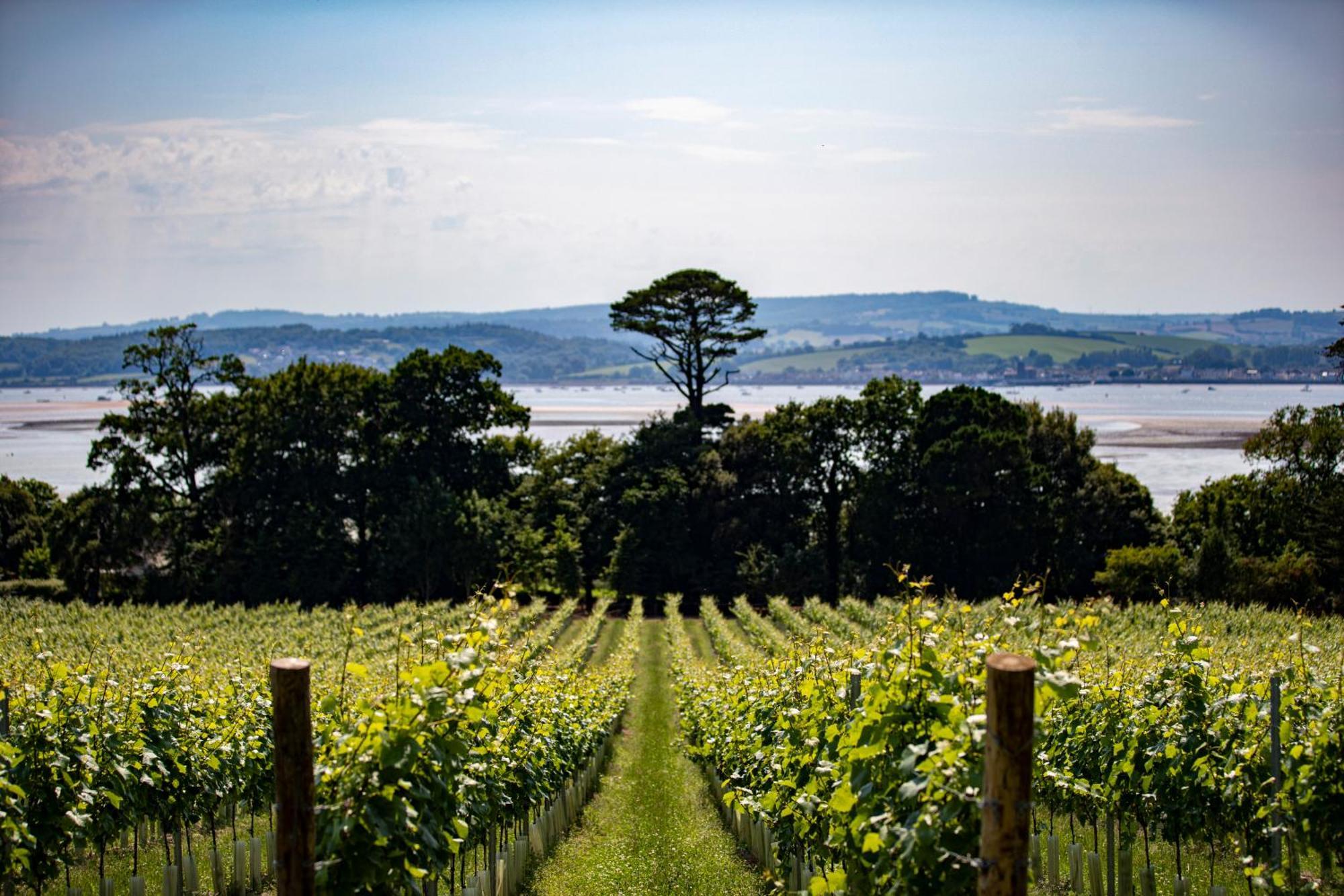Lympstone Manor Hotel Restaurant & Vineyard - Relais & Chateaux Έξμαουθ Εξωτερικό φωτογραφία