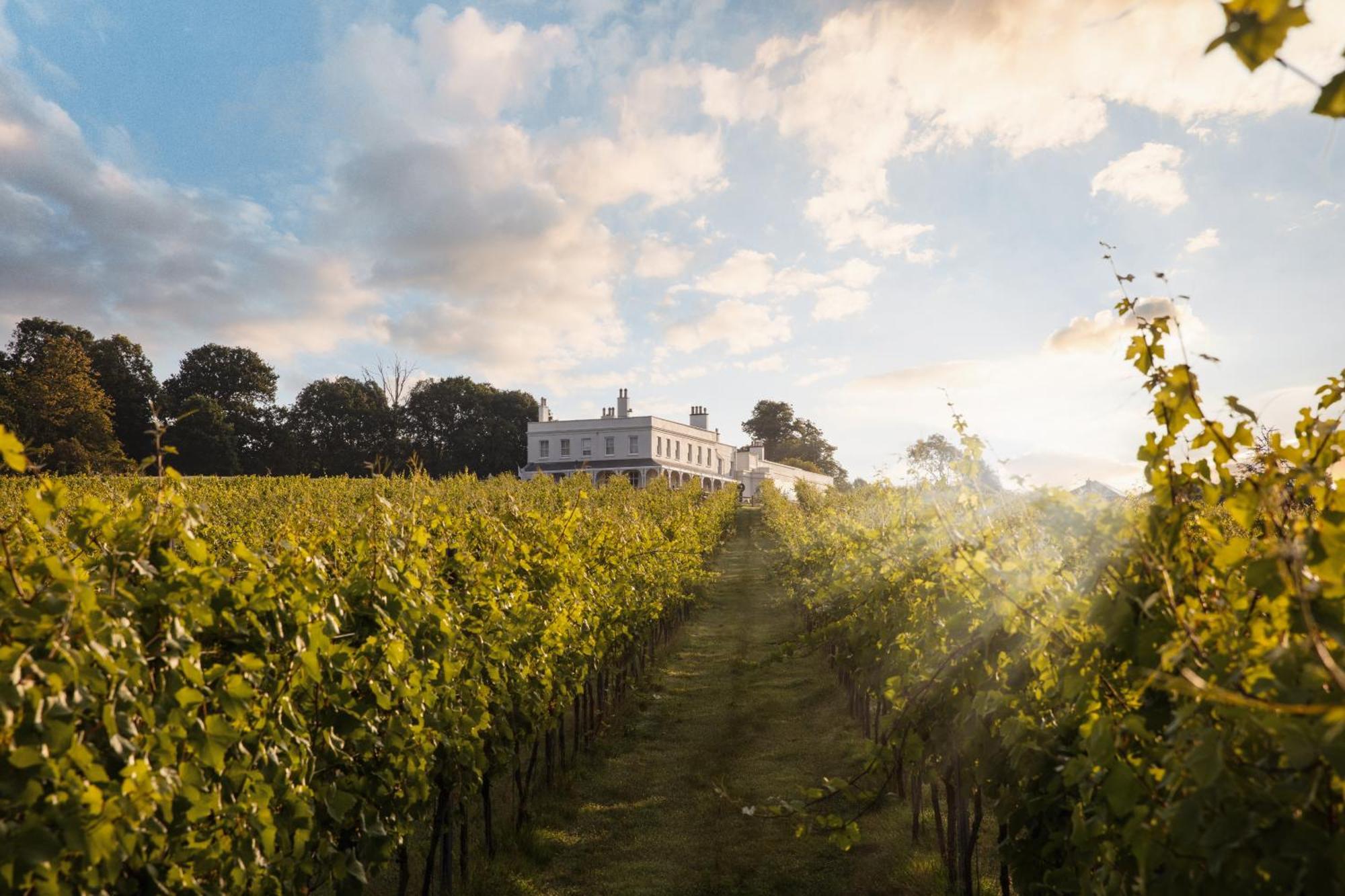 Lympstone Manor Hotel Restaurant & Vineyard - Relais & Chateaux Έξμαουθ Εξωτερικό φωτογραφία